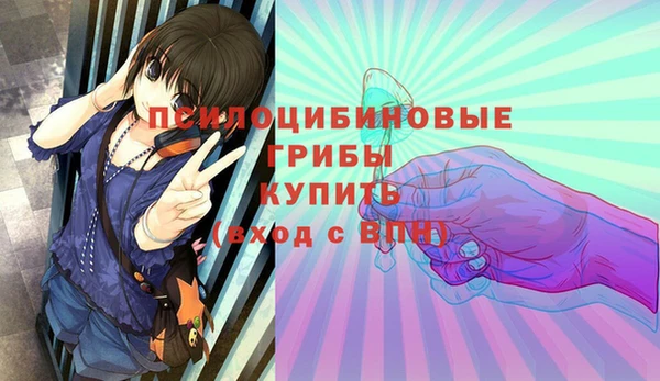 spice Алексин